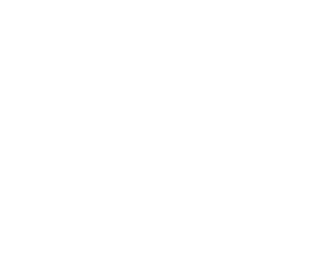 icon airplane