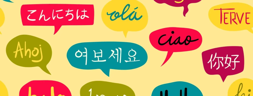 Call Center Multilingual Partner